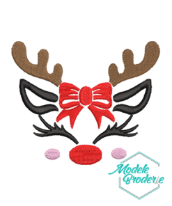 Model broderie Renuta MBR581